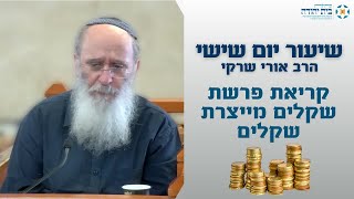 קריאת פרשת שקלים מייצרת שקלים