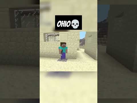 Minecraft Madness: Ohio Edition