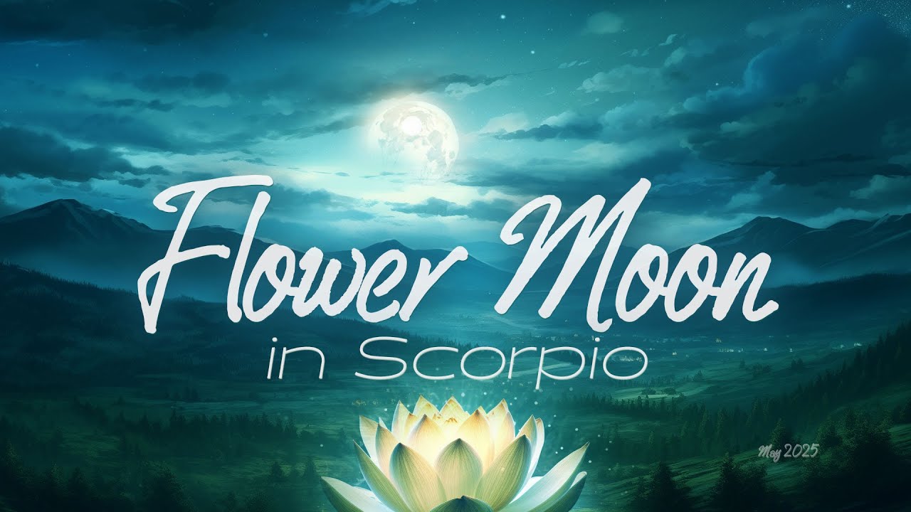 See Our Sshadows with Clarity :: Full Flower Moon in Scorpio♏ 🌕 432hz Wind Chimes  May 2025