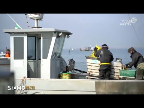 Siamo Noi 31 marzo 2020 – Coronavirus, fabbriche chiuse, l'Italia rischia il tracollo?