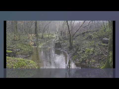 Tweeduuster op de Twentse stuwwal