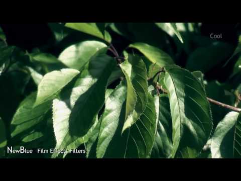 Corel Video Studio Pro X2, Demonstration Of NewBlue Film Effect Filters