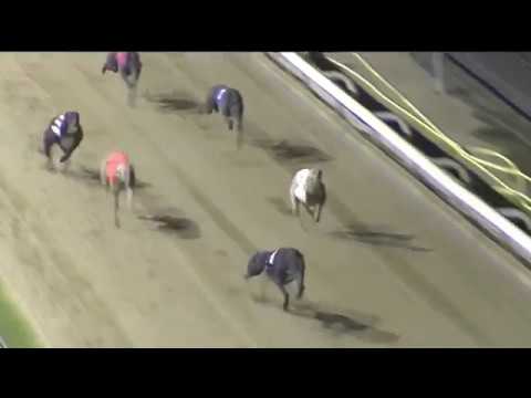2018 RPGTV EAST ANGLIAN DERBY PURSE FINAL - T4 MINNIES HIGHWAY