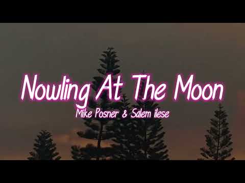 Mike Posner & Salem ilese - Nowlling At The Moon (lyrics)