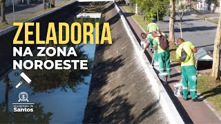 Santos Mais Bonita: Veja como foi o mutirão de zeladoria no bairro São Jorge