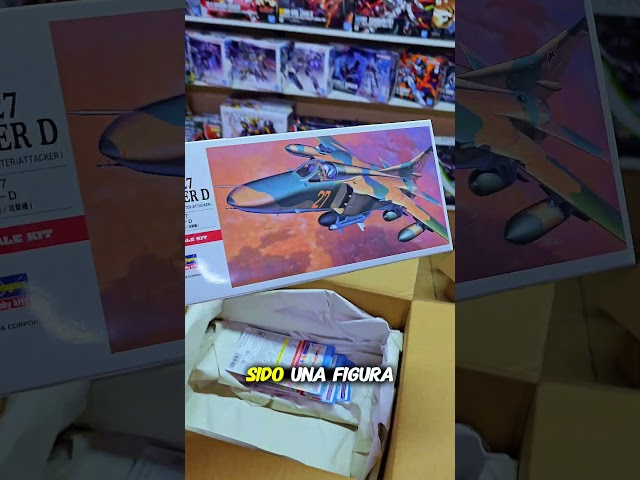 Vídeo relacionado con Hasegawa- Nakanoshi Beauty No. 1 Pieza Maqueta, Multicolor (SP590)