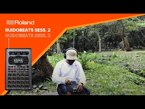 @ruidobeats X @RolandMexico Roland Sampler #SP404MK2 #lofi #beatmaker session No.2 #404 #samples