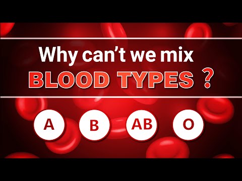 Why can't we mix Blood Types? | Science Curiosity
