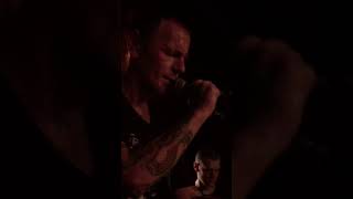 TODAY IS THE DAY - ANIMAL MOTHER