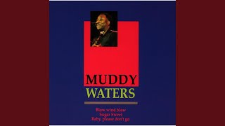 Your Can&#39;t Lose What You Ain&#39;t Never Had