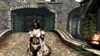Skyrim Imperial Crusader Set из Lineage 2