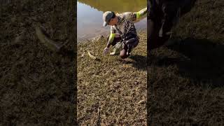 ナマズ　クランクマン　2026 5月末 #バス釣り