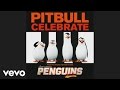 Pitbull - Celebrate (from the Original Motion ...