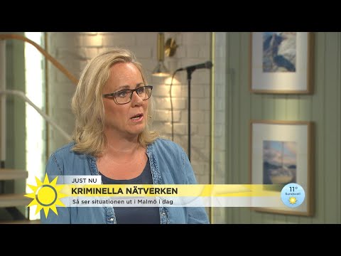 Malmöskjutningen -  ”Det här är bara början det kommer ske mer i sommar” - Nyhetsmorgon (TV4)