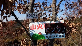 2023.12.10 兵庫県姫路市の京見山(215m)からトンガリ山(165m)へ