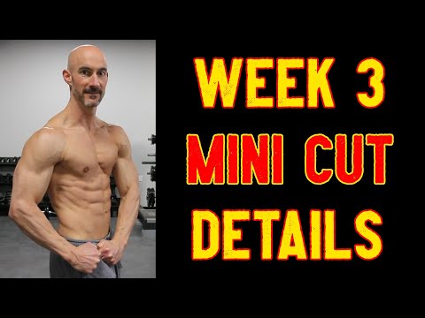 Mini Cut Week 3 Updates - Jacked After 40 Life Ep 63