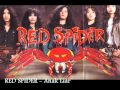 RED SPIDER Anak Liar
