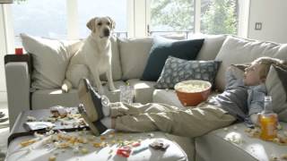 Lovesac Sactionals:  Washable
