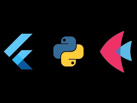 Flutter With Python A Captivating Coding Walkthrough