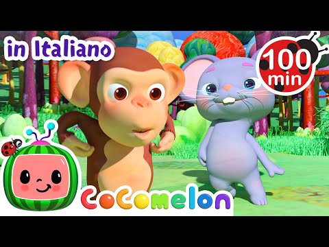 Il ballo degli animali | CoComelon | Moonbug Kids - Cartoni Animati