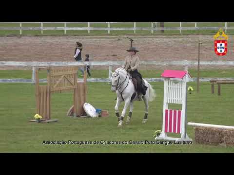 220501 Debutantes Prova de Maneabilidade III Jornada CNET