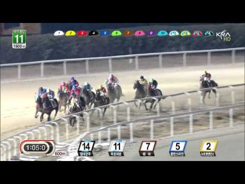 Joe Fujii - 100th winner in Korea