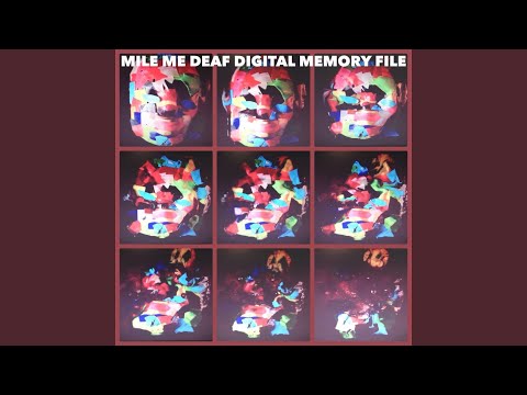 Digital Memory File