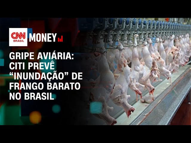 Menor preço: Analistas do banco Citi preveem frango mais barato no Brasil | CNN MONEY