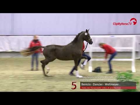 05 Junghengst v. Benicio - Dancier