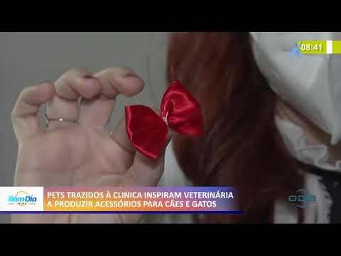 Veterinária produz acessórios para cães e gatos 16 11 2020