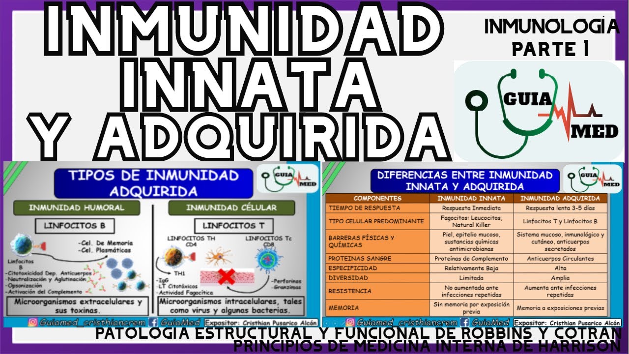 INMUNIDAD INNATA Y ADQUIRIDA INMUNOLOGÍA | GuiaMed