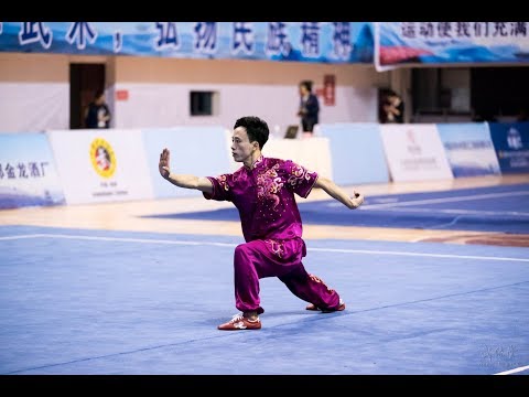 Men's Cha Fist 男子查拳 第1名 山东 孙培原 9.11分 shan dong sun pei yuan chaquan
