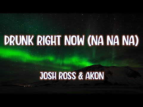 Josh Ross & Akon - Drunk Right Now (Na Na Na)