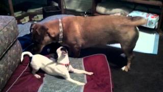 Download lagu Lola and Ruby mp3