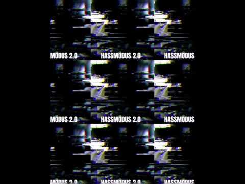 VieR44VieR - (Hassmodus 2.0) prod.by P.A.T.M.A.N