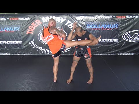 Mae Mai Muay Boran Technique: Hak Nguang Aiyara