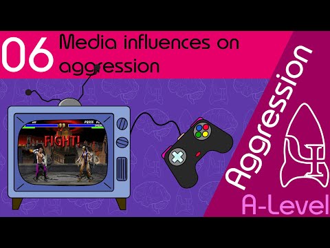 6 Media influences