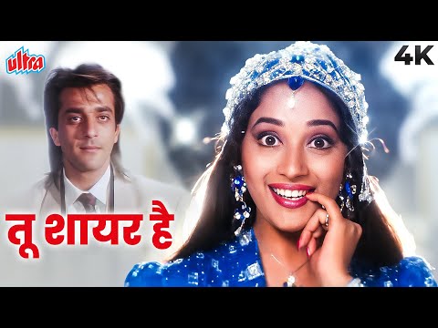 Alka Yagnik : Tu Shayar Hain Main Teri Shayari 4K Video | Madhuri Dixit | Nadeem Shravan Songs