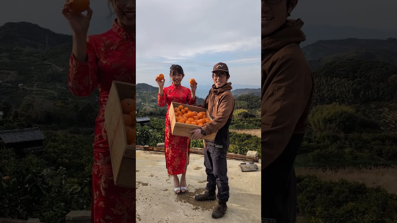 【テレビ放送のお知らせ】BS日テレ「紀の国、みかん日和」にて藤原農園が出ます。今晩（3/21）20時54分~ぜひご覧ください♪