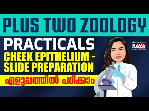 PLUS TWO ZOOLOGY PRACTICALS CHEEK EPITHELIUM - SLIDE PREPARATION എളുപ്പത്തിൽ പഠിക്കാം |RAYSEDUCATION