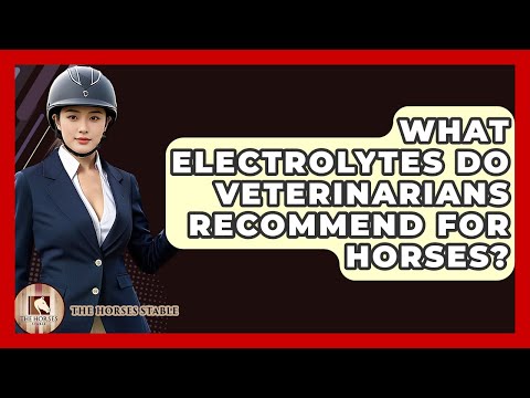 What Electrolytes Do Veterinarians Recommend For Horses? - The Horses Stable