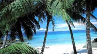 Hawaiian Christmas Song (Mele Kalikimaka) - Bing Crosby