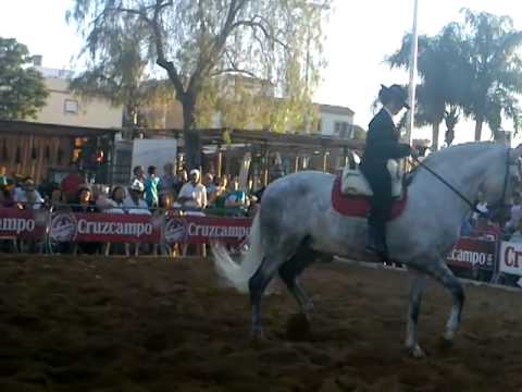 Mariano y Merchi (Doma Vaquera)