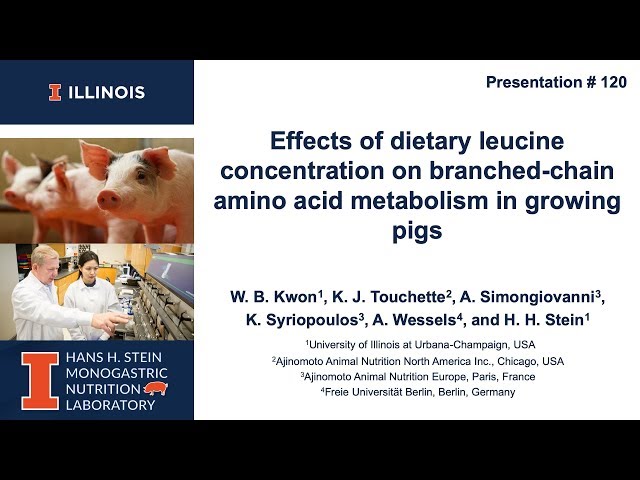 Video Pronunciation of leucine in English Video Pronunciation of leucine in English