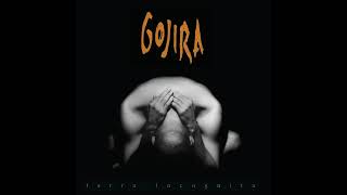 GOJIRA - Space Time