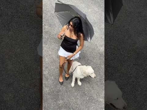 Dog moms unite #asiantrend #dogmom #fashion #goldenretriever #reels