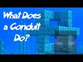 MINECRAFT | What Does a Conduit Do? 1.17.1 Tutorial