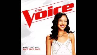 Amy Vachal - Bye Bye Bye (Funny male version)