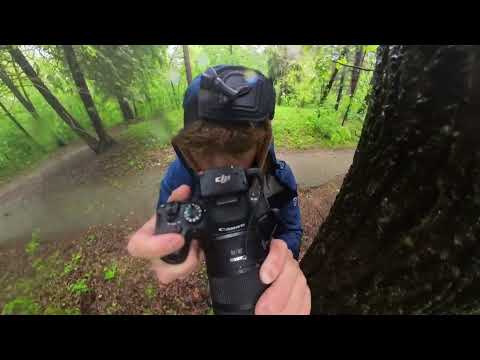 Shooting Nature Photography in the Rain | Behind the Scenes