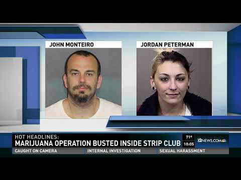 Marijuana operation busted inside strip club